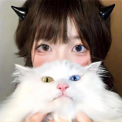 新女婿时代
